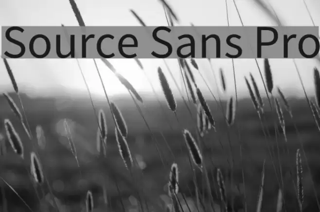 Source Sans Pro Font examples