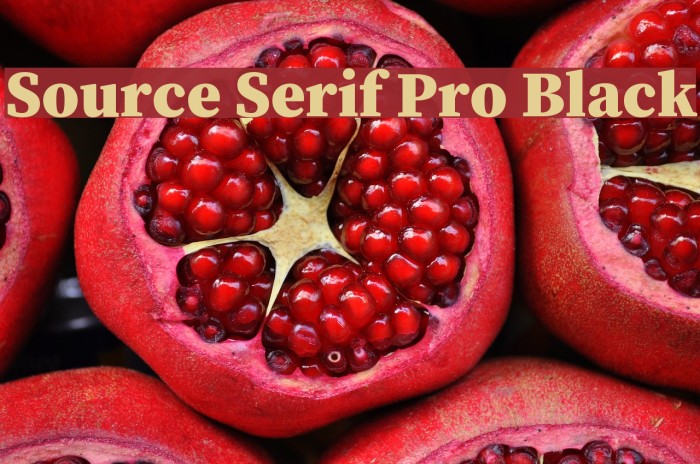 Source Serif Pro Black Font examples