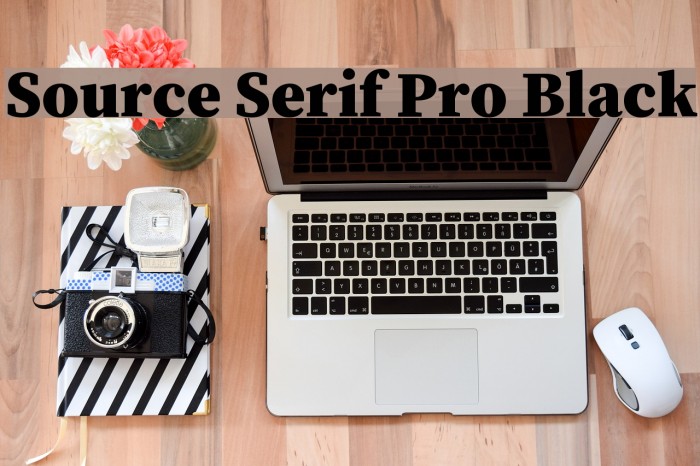 Source Serif Pro Black Font examples
