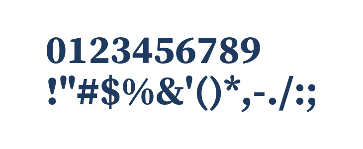 Source Serif Pro Bold1 Other Characters