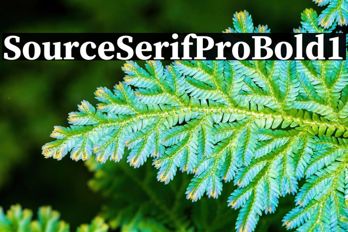 Source Serif Pro Bold1 Example 1