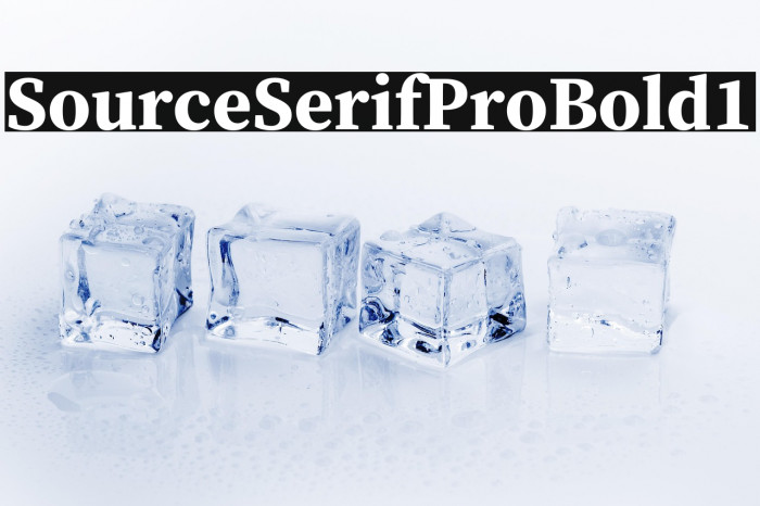 Source Serif Pro Bold1 Example 2