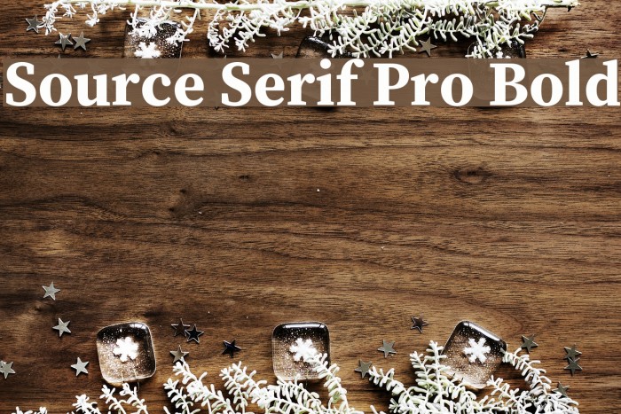 Source Serif Pro Bold Font examples