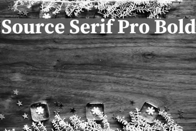 Source Serif Pro Bold examples