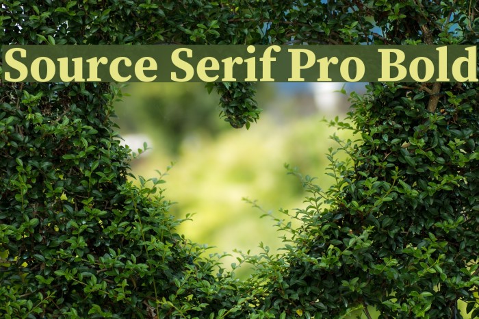 Source Serif Pro Bold Font examples