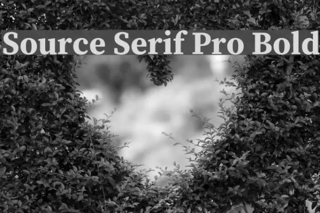 Source Serif Pro Bold examples