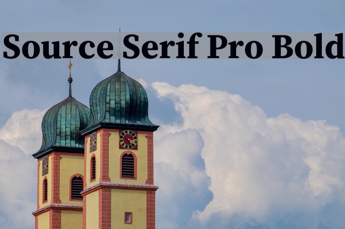 Source Serif Pro Bold Font examples