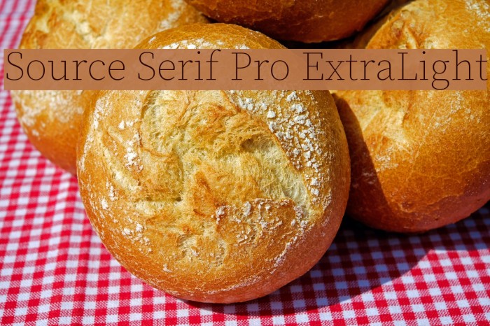 Source Serif Pro ExtraLight Example 2