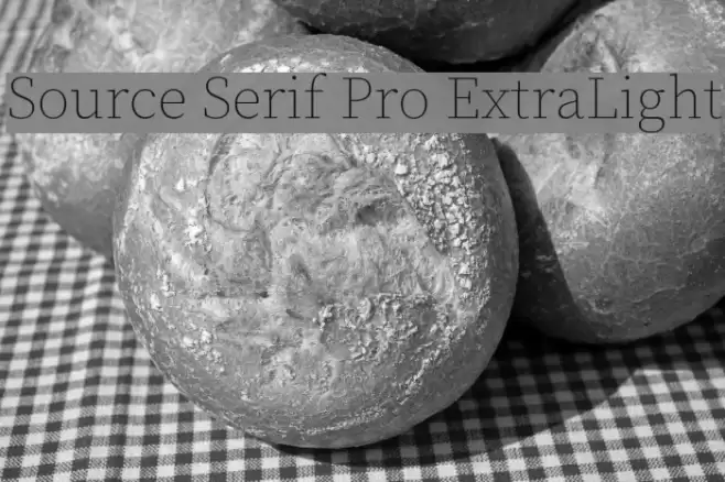 Source Serif Pro ExtraLight Font examples
