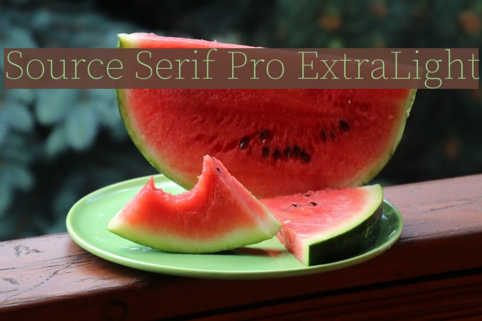 Source Serif Pro ExtraLight Example 3