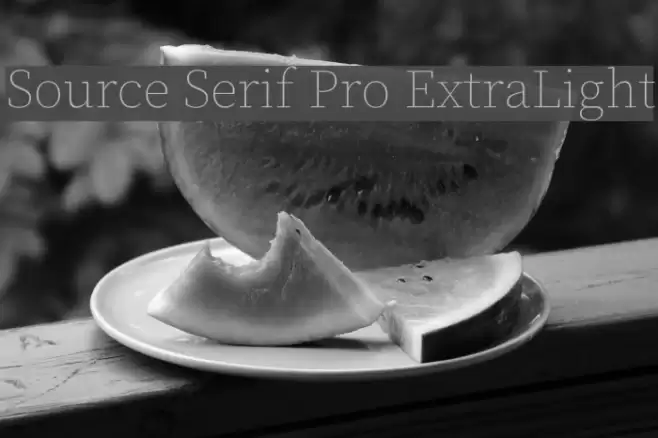 Source Serif Pro ExtraLight Font examples