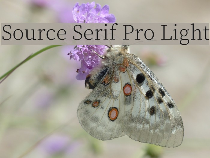 Source Serif Pro Light Font examples