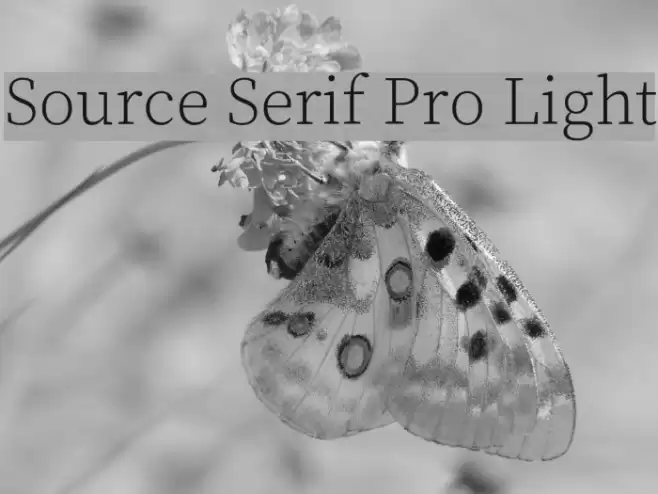 Source Serif Pro Light Fonte examples