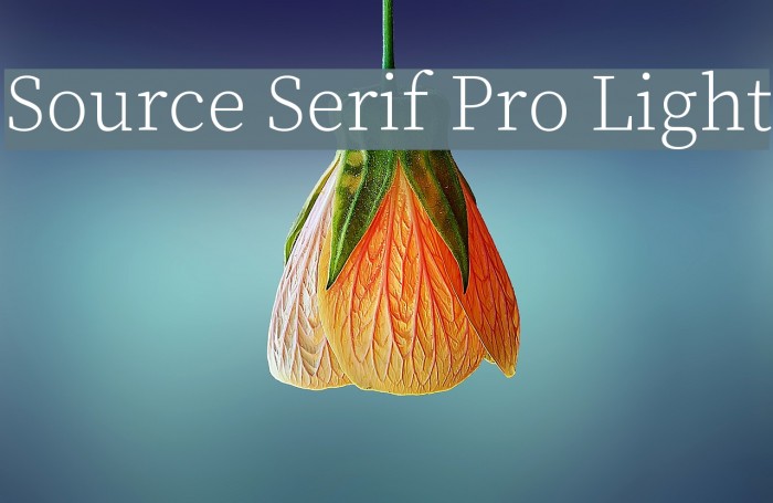 Source Serif Pro Light Font examples