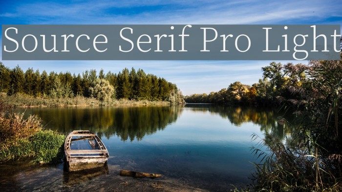 Source Serif Pro Light Font examples
