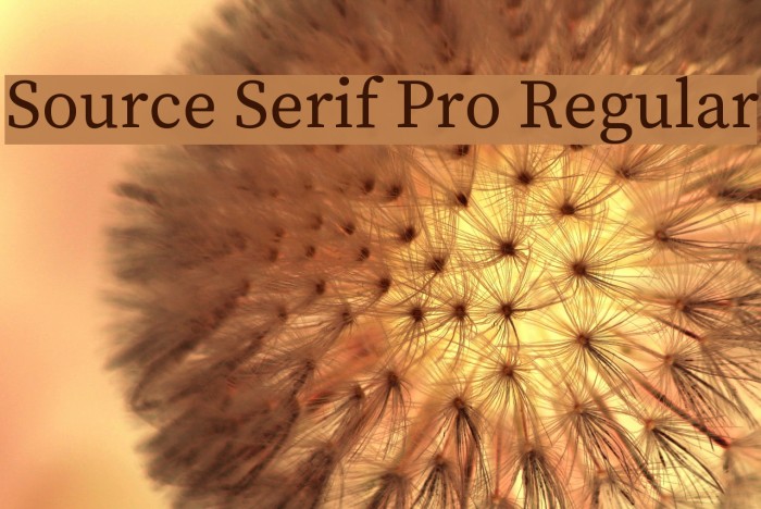 Source Serif Pro Regular Font examples
