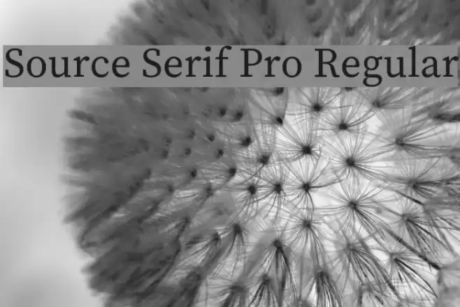 Source Serif Pro Regular Font examples
