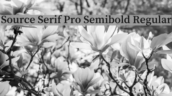 Source Serif Pro Semibold Regular examples