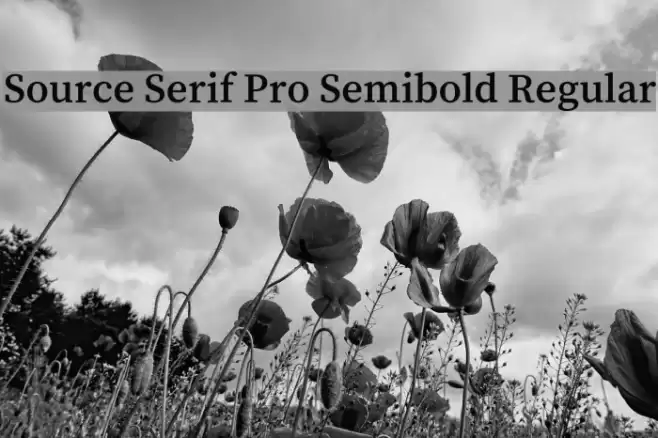 Source Serif Pro Semibold Regular examples