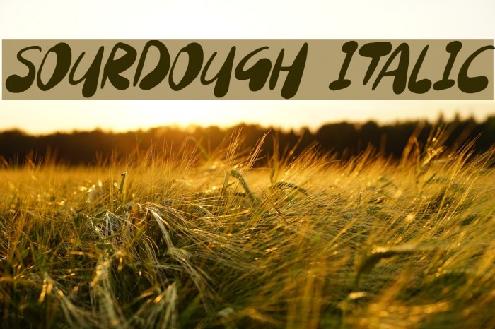 Sourdough Italic Schriftart examples