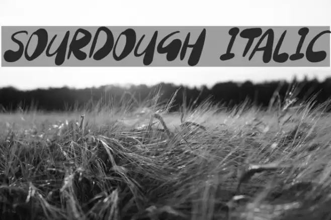 Sourdough Italic Font examples