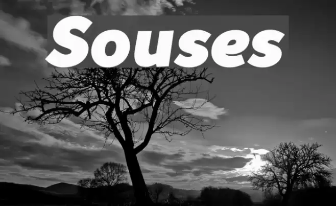 Souses Font examples