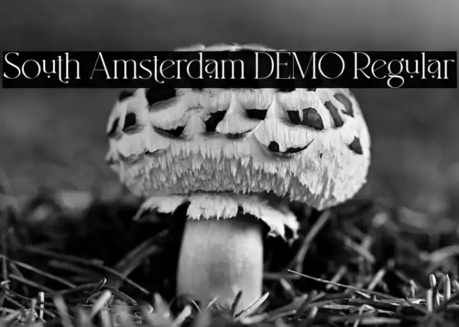 South Amsterdam DEMO Regular Font examples