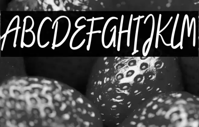 South Amsterdam Font examples