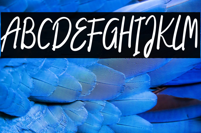 South Amsterdam Example 3