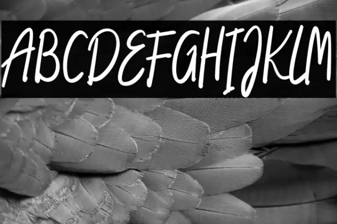 South Amsterdam Font examples