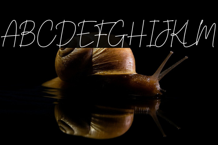 South Australia Example 3