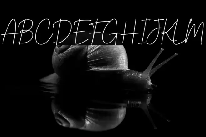 South Australia Font examples