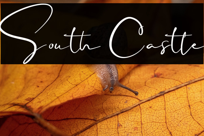 South Castle Example 1