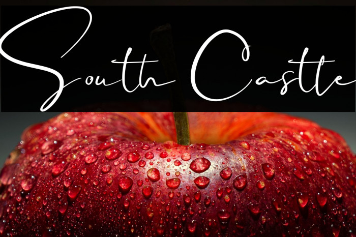 South Castle Example 2