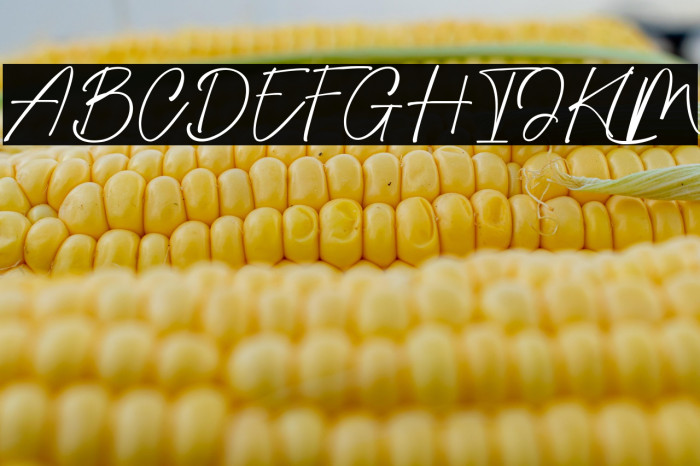 South Catalonia Example 1