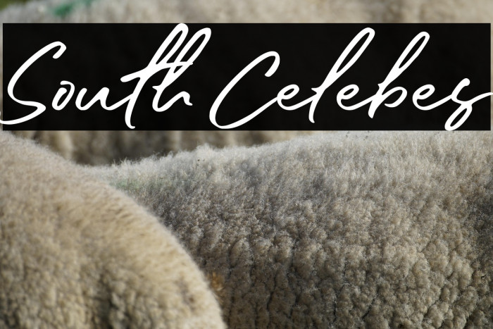 South Celebes Example 1