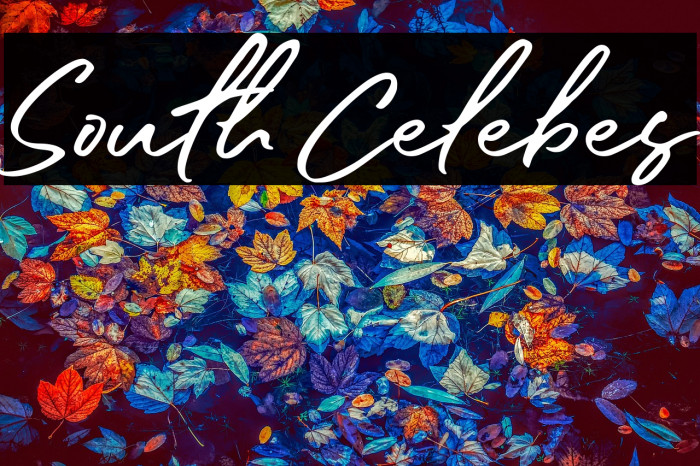 South Celebes Example 3