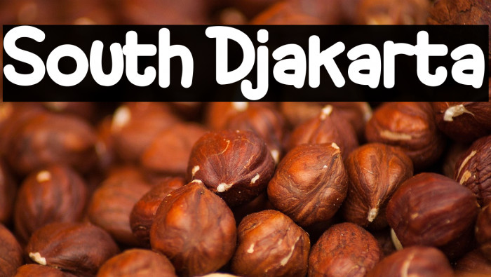 South Djakarta Example 3