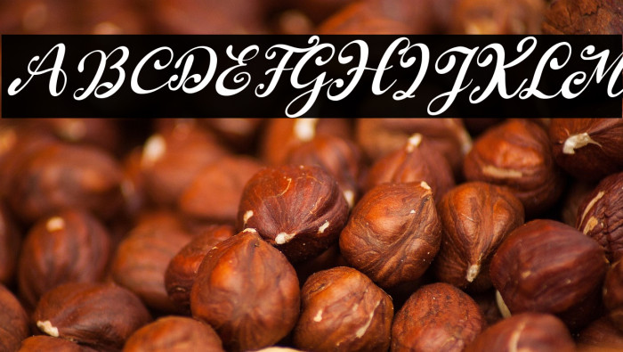 South Forest Italic Example 2