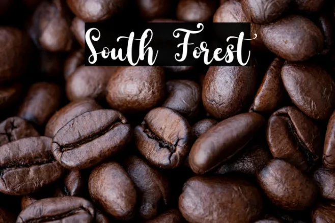 South Forest Example 1