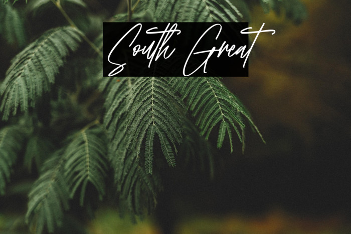 South Great Example 2