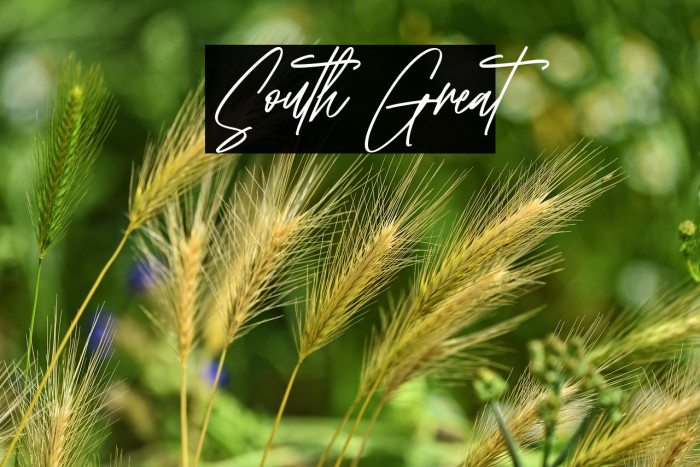 South Great Example 3