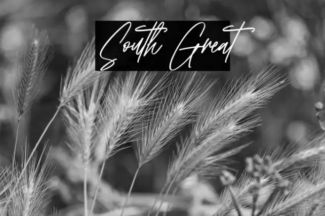 South Great Font examples