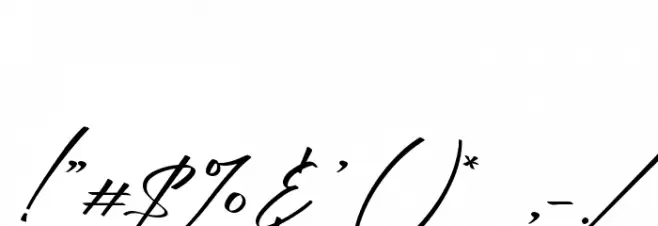 South Hamburg Font OTHER CHARS