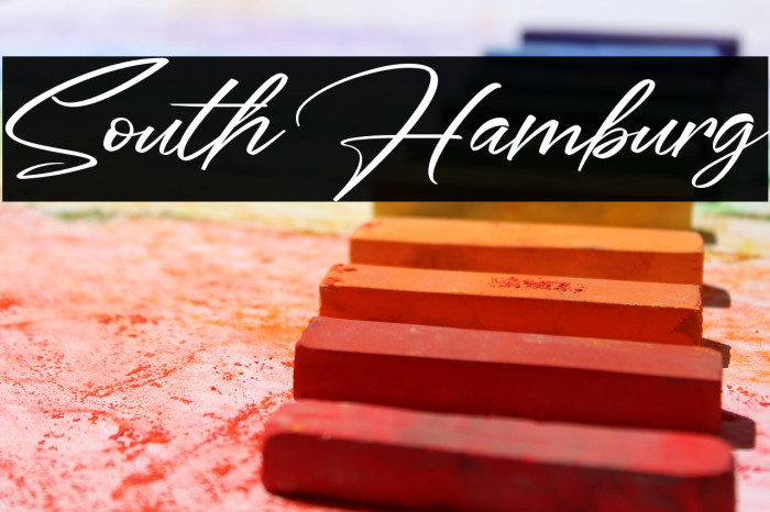 South Hamburg Polices examples