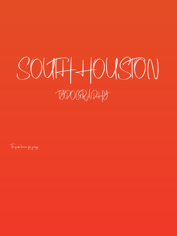 South Houston Poster