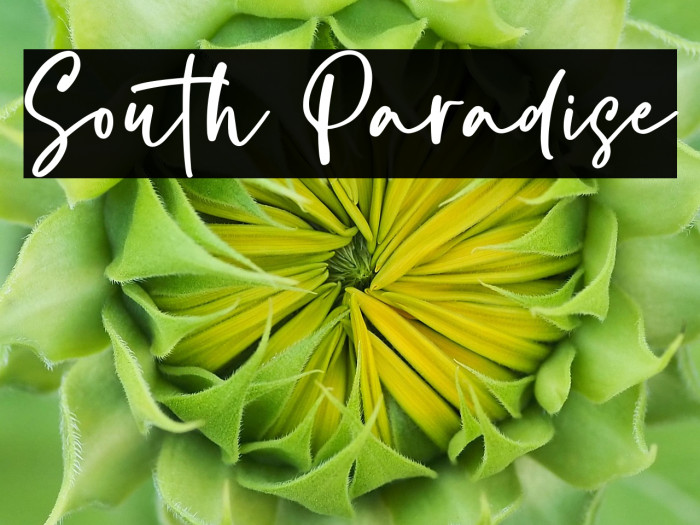 South Paradise Example 1