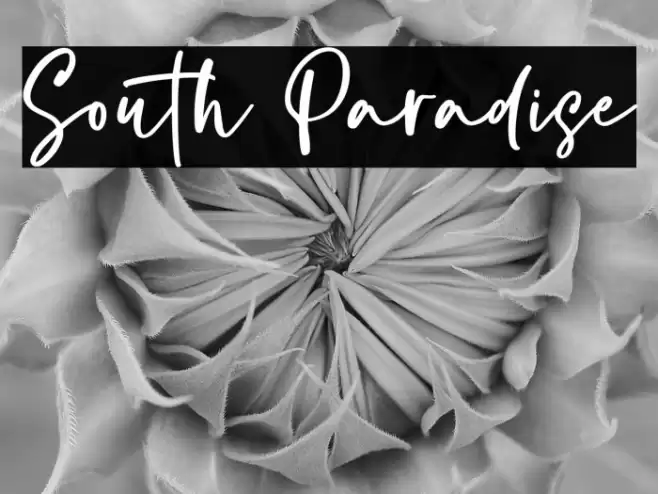 South Paradise Font examples