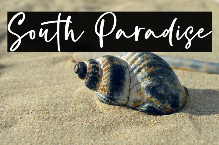 South Paradise Example 2