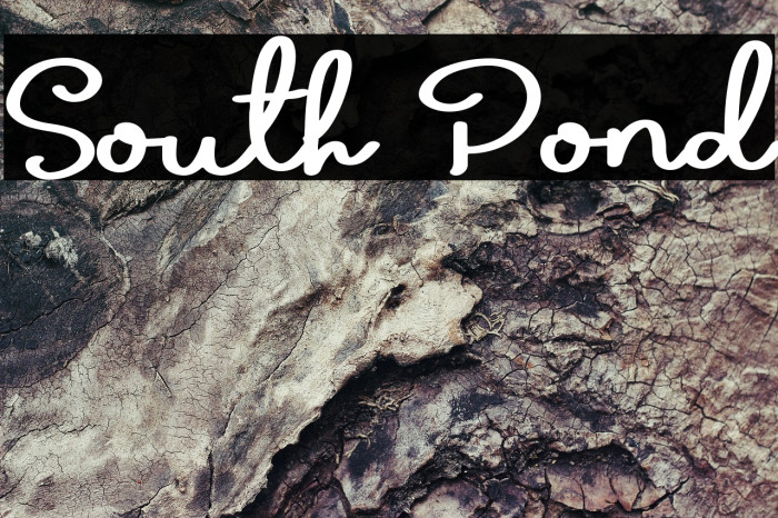 South Pond Example 1